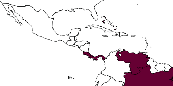 map of Netomocera virgata     Mitroiu, 2019